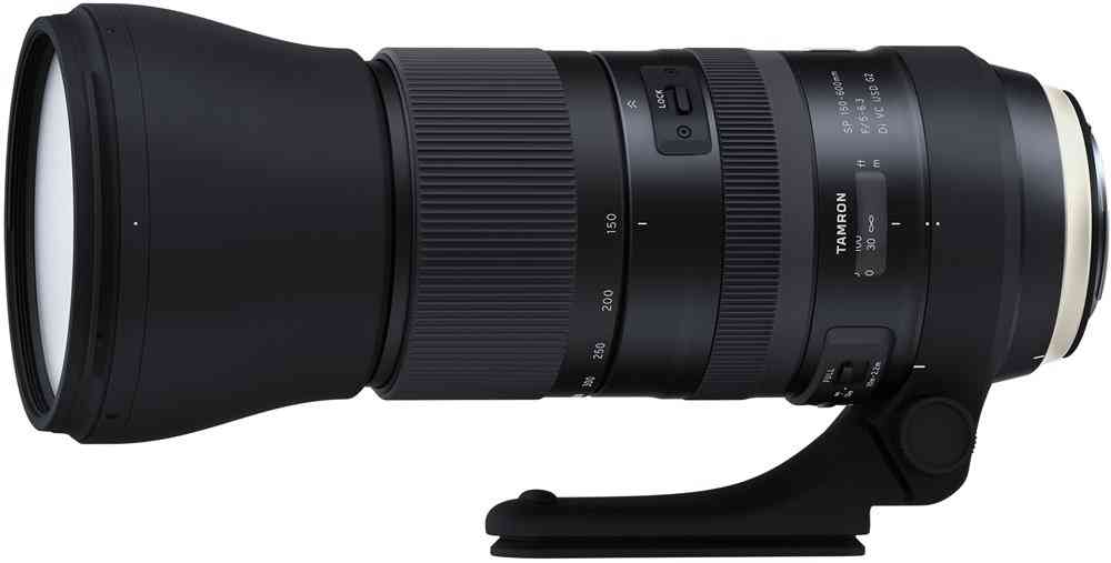telephoto lens Photography