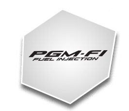 PGM FI system dev two PGM FI system dev two