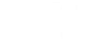 emlight logo